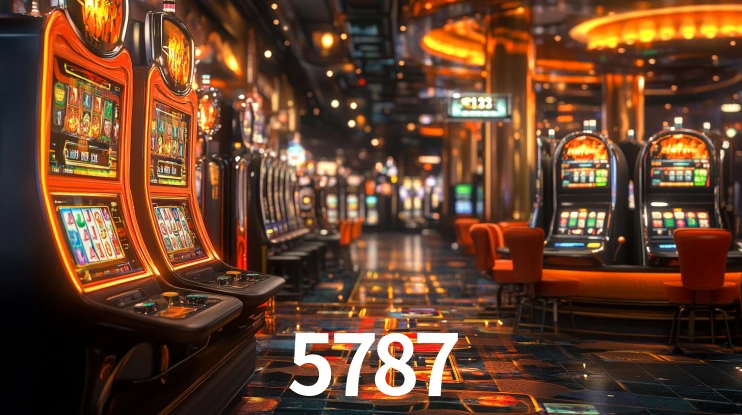 Premium Interface 5787